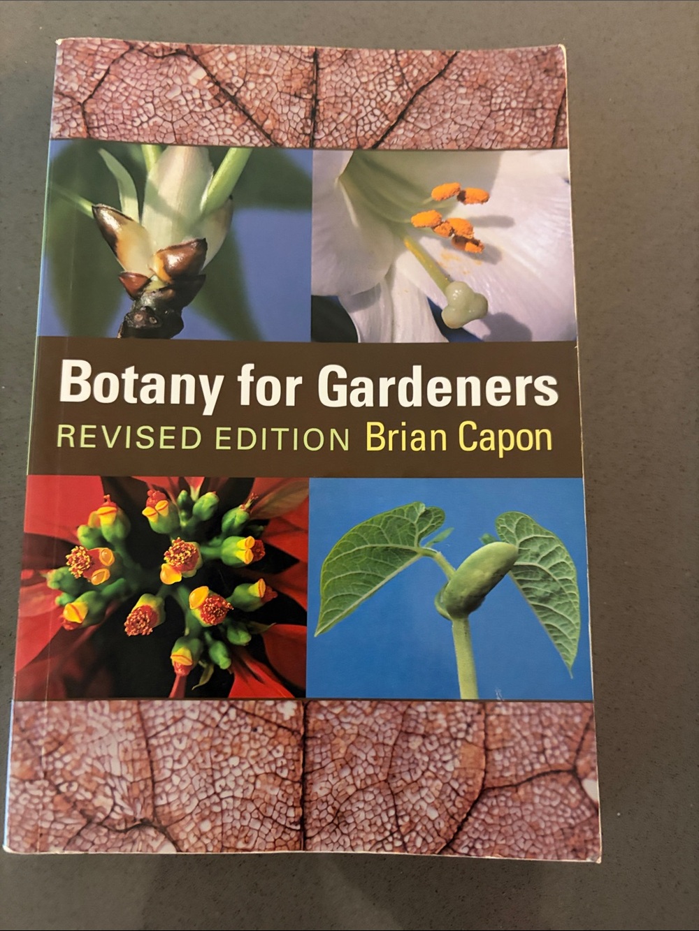 Botany for Gardeners - Revised addition by Brian Capon